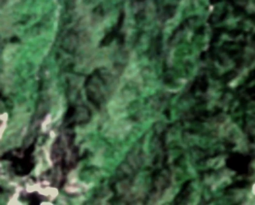 Valea Șesei și iazul de steril văzute de satelitul Landsat în 1979