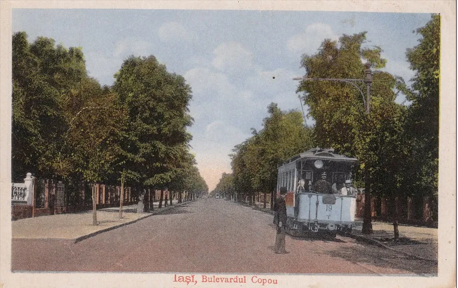 Bulevard cu tei și un tramvai, pe o carte poștală veche colorată.