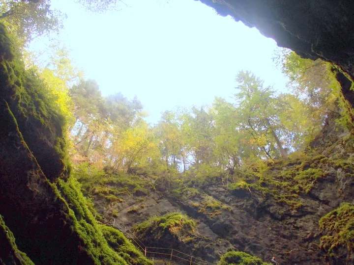 Looking up from the shaft bottom: mossy stone walls and tree crowns in daylight