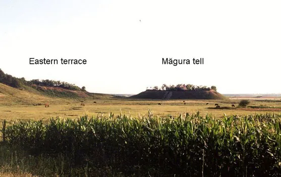 The Pietrele mound, 9 m high, seen across a maize field.