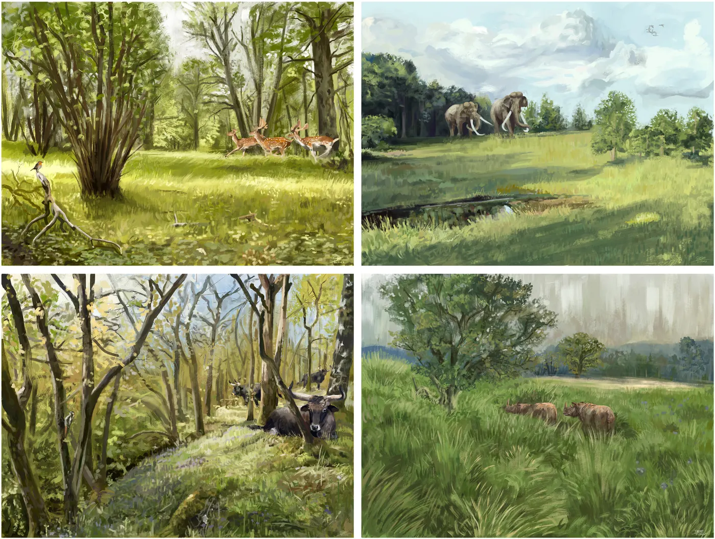 Four paintings of European landscapes in the Last Interglacial: fallow deer in woodland, two straight-tusked elephants by a pond, aurochs resting in a wood, and animals grazing a meadow