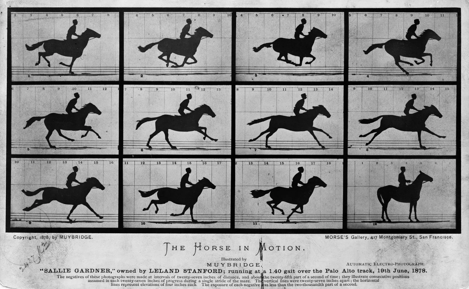 The Horse in Motion