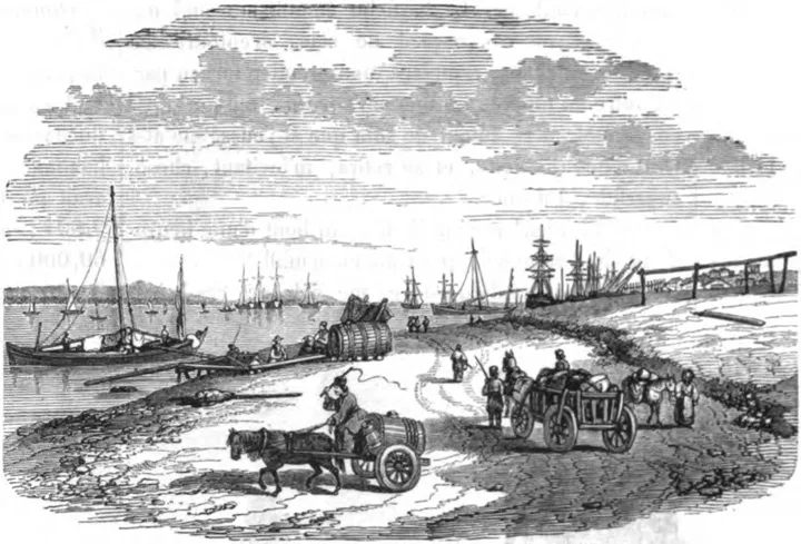 The port of Brăila, with grain ships on the Danube, in the 1840s