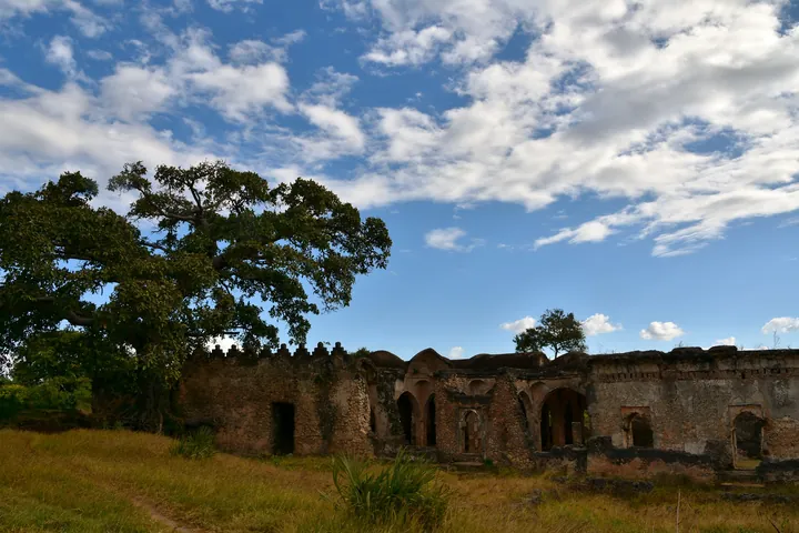 Low roofless stone walls with collapsed arches, standing in tall grass among trees.