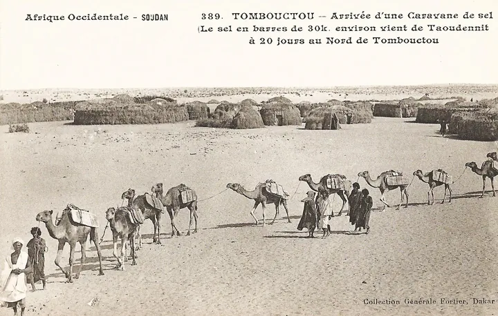 An early photograph: a long line of camels loaded with slabs of salt crossing flat sand at the edge of a mud-brick town.