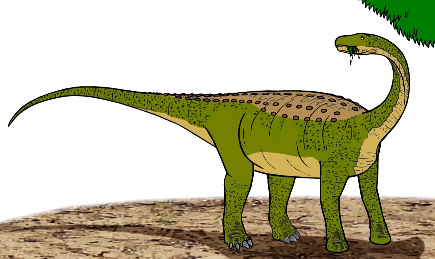 Life reconstruction of Magyarosaurus dacus, the dwarf titanosaur from Hațeg Island
