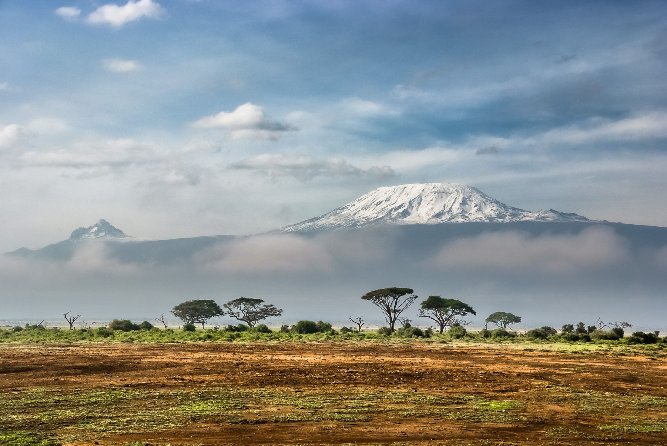 Kilimanjaro ridicându-se peste câmpia Amboseli în zori, Kibo și Mawenzi deasupra acaciilor