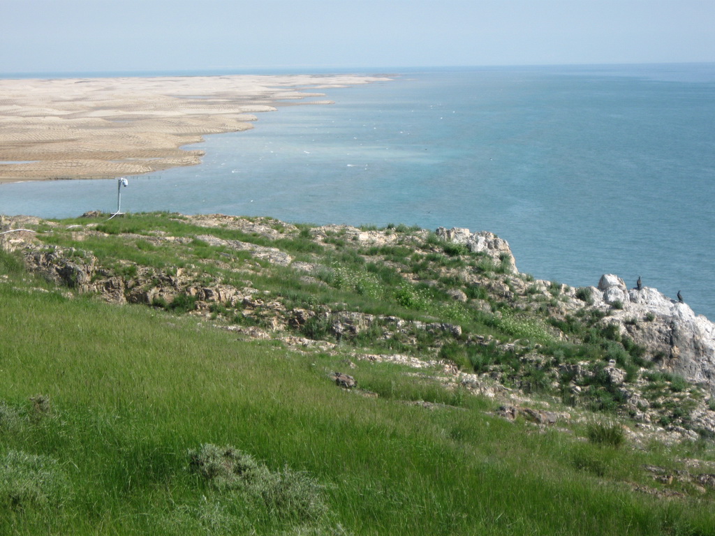 Rezervația naturală Insula Păsărilor, Lacul Qinghai, 2016