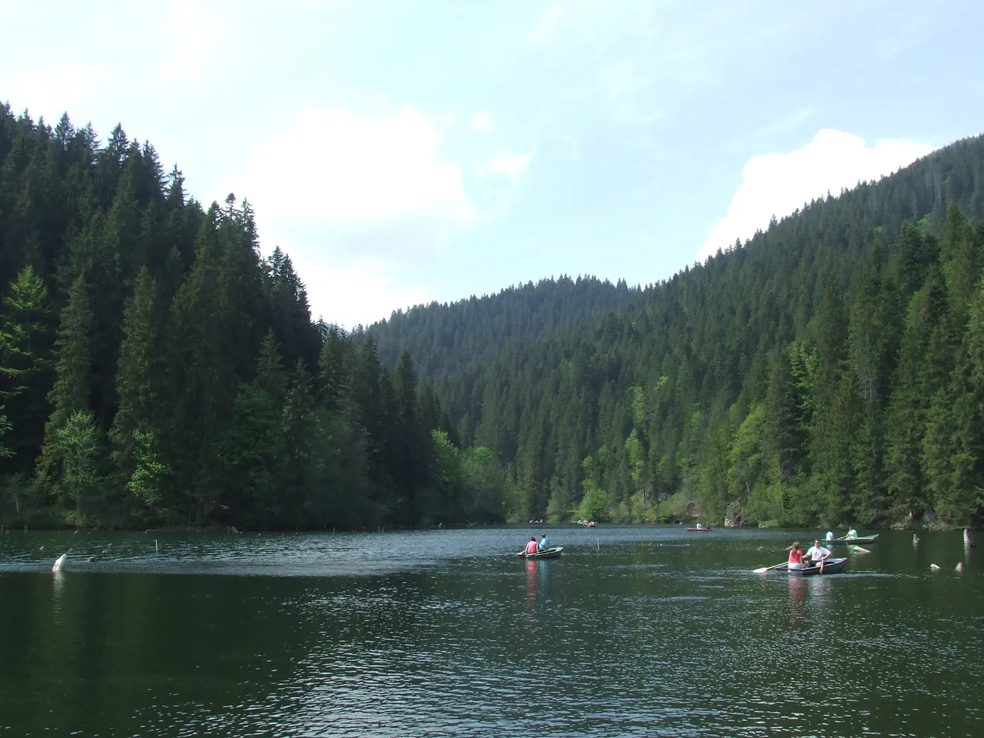 Bărci cu turiști pe Lacul Roșu, printre trunchiurile înecate, între versanții împăduriți ai văii.