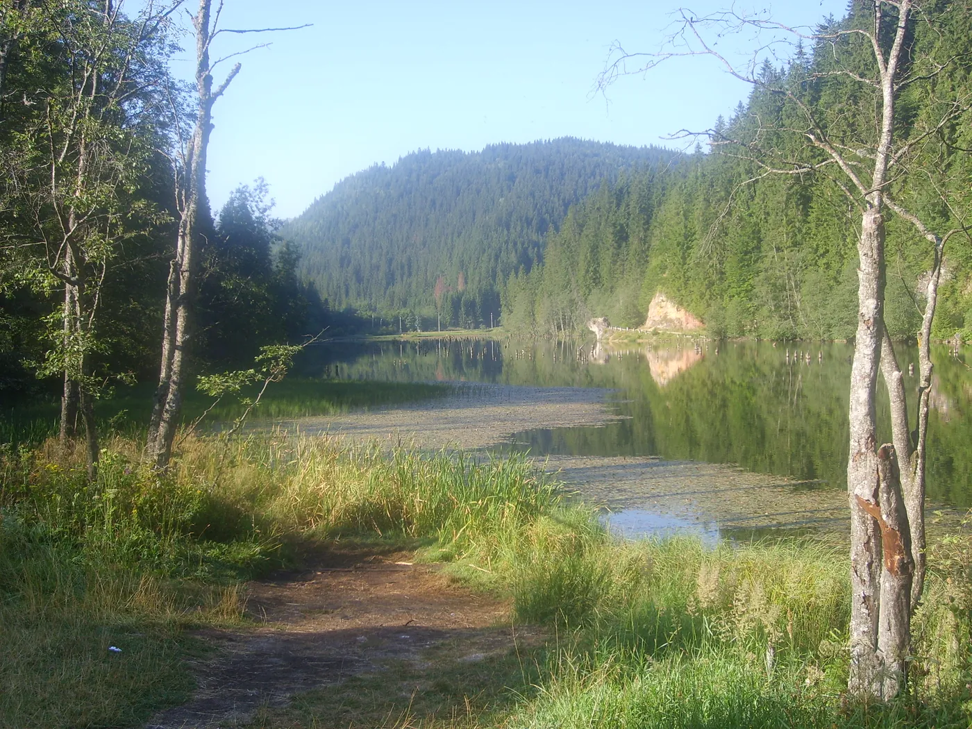 Lacul Roșu: trunchiurile pădurii înecate ies din apa liniștită, între maluri împădurite.