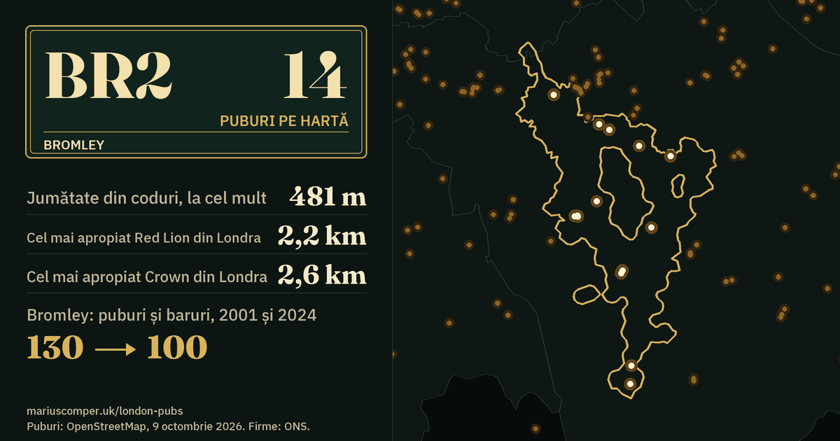 14 puburi pe hartă. Cel mai apropiat Red Lion din Londra: la 2,2 km. Bromley: 130 de puburi și baruri în 2001, 100 în 2024.