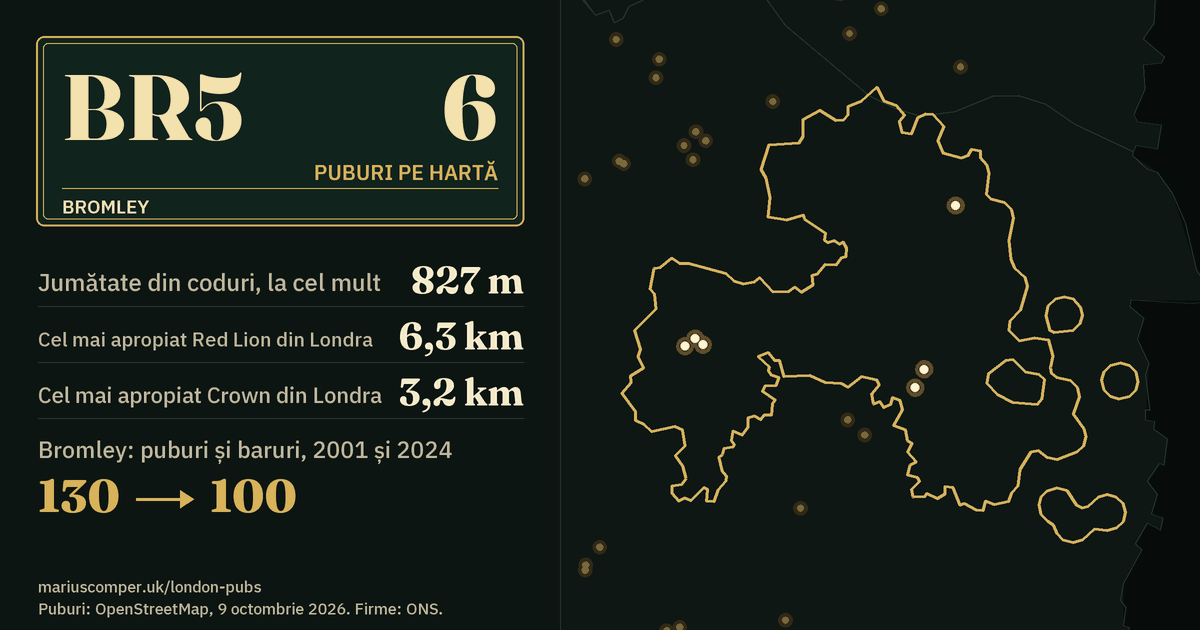 6 puburi pe hartă. Cel mai apropiat Red Lion din Londra: la 6,3 km. Bromley: 130 de puburi și baruri în 2001, 100 în 2024.