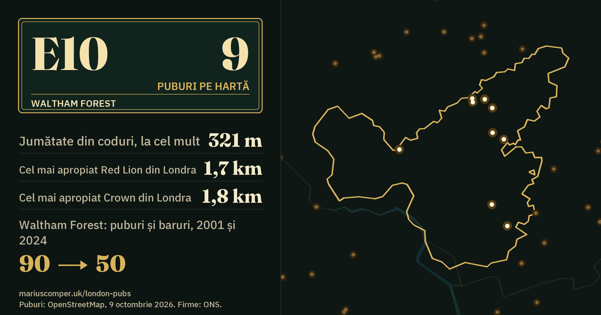 9 puburi pe hartă. Cel mai apropiat Red Lion din Londra: la 1,7 km. Waltham Forest: 90 de puburi și baruri în 2001, 50 în 2024.
