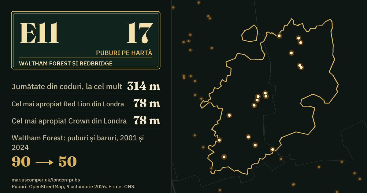 17 puburi pe hartă. Cel mai apropiat Red Lion din Londra: la 78 m. Waltham Forest: 90 de puburi și baruri în 2001, 50 în 2024.