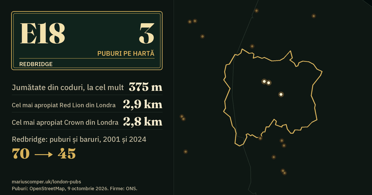 3 puburi pe hartă. Cel mai apropiat Red Lion din Londra: la 2,9 km. Redbridge: 70 de puburi și baruri în 2001, 45 în 2024.