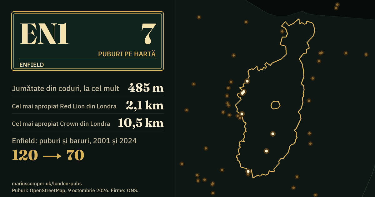7 puburi pe hartă. Cel mai apropiat Red Lion din Londra: la 2,1 km. Enfield: 120 de puburi și baruri în 2001, 70 în 2024.