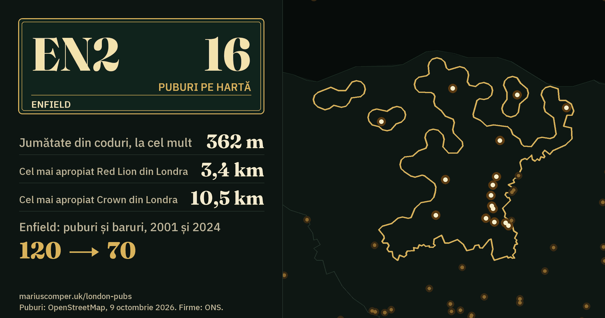 16 puburi pe hartă. Cel mai apropiat Red Lion din Londra: la 3,4 km. Enfield: 120 de puburi și baruri în 2001, 70 în 2024.