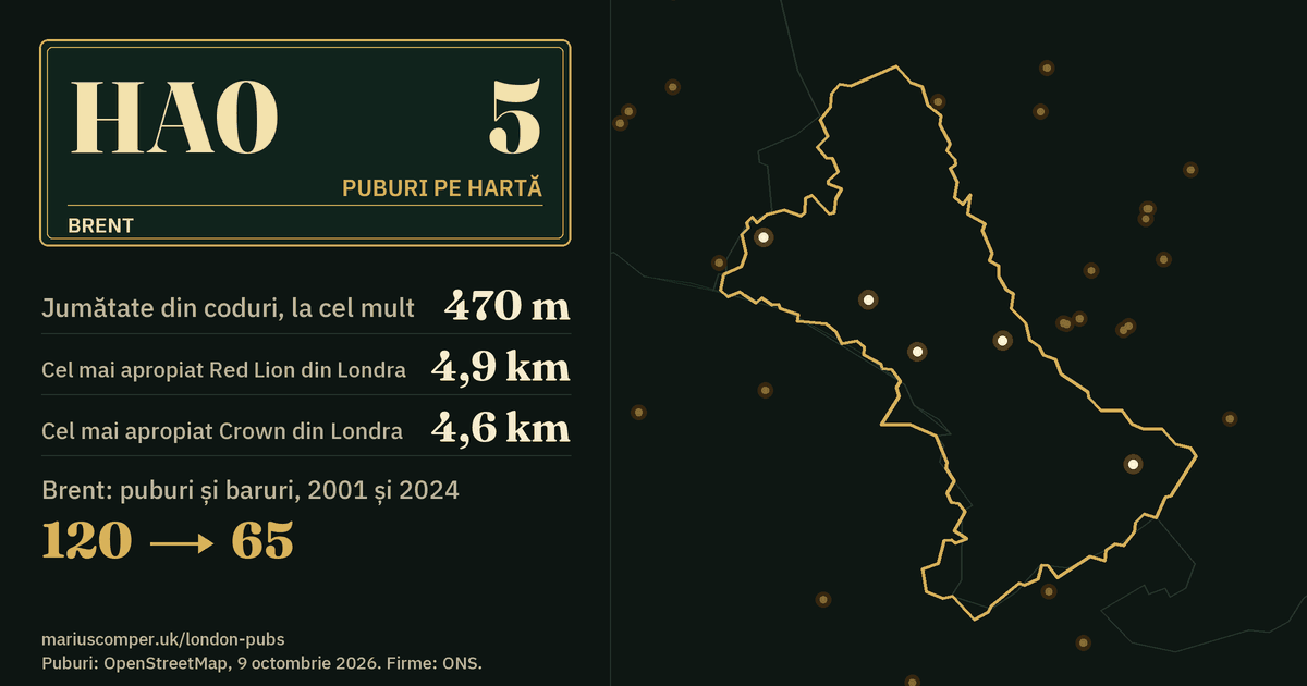 5 puburi pe hartă. Cel mai apropiat Red Lion din Londra: la 4,9 km. Brent: 120 de puburi și baruri în 2001, 65 în 2024.