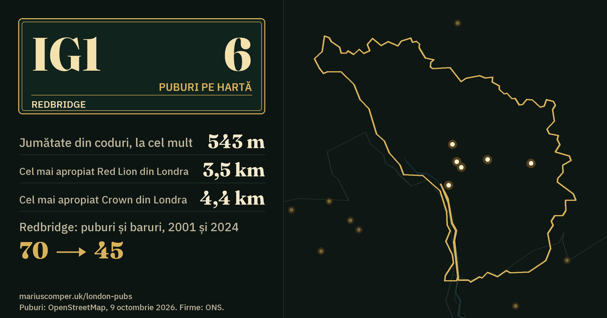 6 puburi pe hartă. Cel mai apropiat Red Lion din Londra: la 3,5 km. Redbridge: 70 de puburi și baruri în 2001, 45 în 2024.