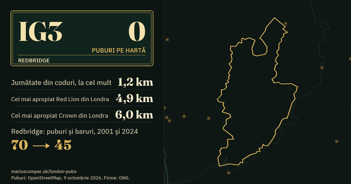 Niciun pub pe hartă. Cel mai apropiat este la 1,2 km de centrul districtului. Redbridge: 70 de puburi și baruri în 2001, 45 în 2024.