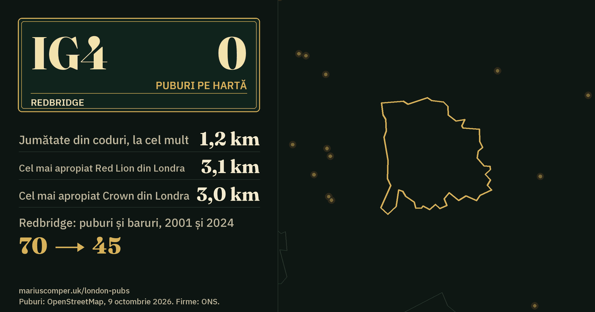 Niciun pub pe hartă. Cel mai apropiat este la 1,3 km de centrul districtului. Redbridge: 70 de puburi și baruri în 2001, 45 în 2024.