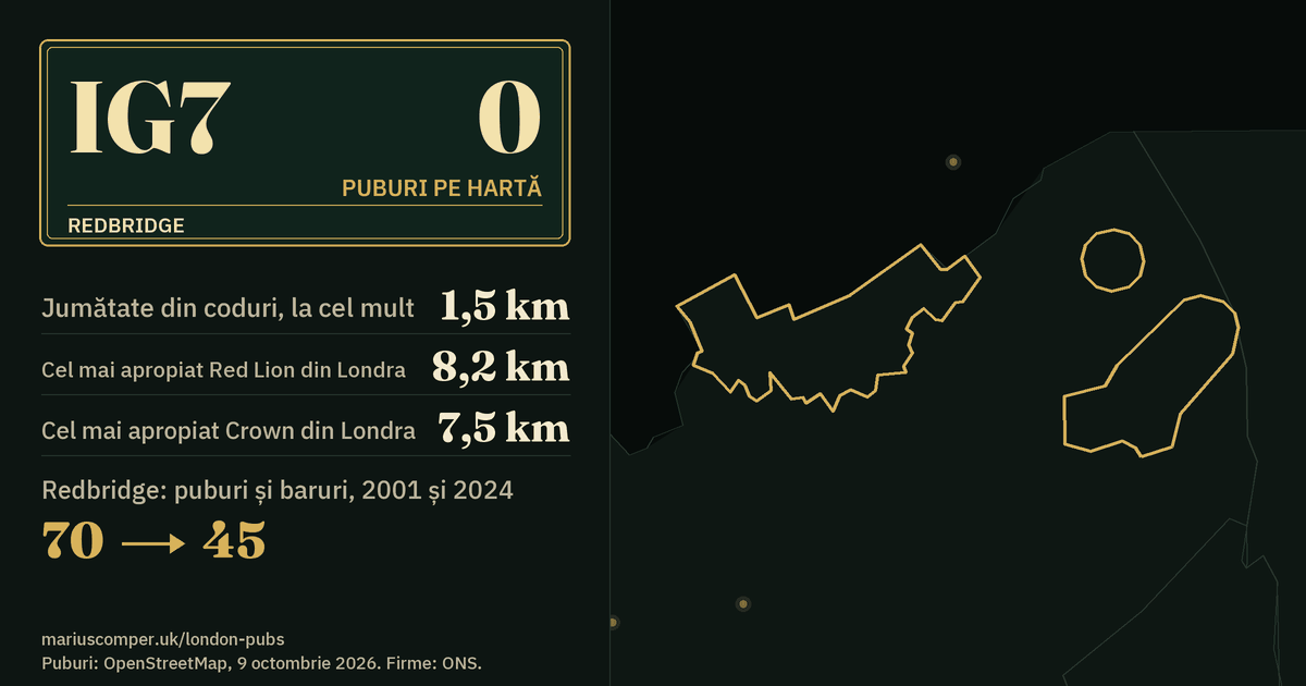 Niciun pub pe hartă. Cel mai apropiat este la 1,5 km de centrul districtului. Redbridge: 70 de puburi și baruri în 2001, 45 în 2024.