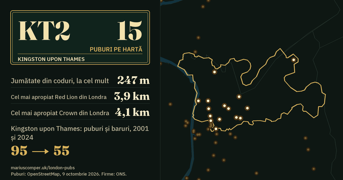 15 puburi pe hartă. Cel mai apropiat Red Lion din Londra: la 3,9 km. Kingston upon Thames: 95 de puburi și baruri în 2001, 55 în 2024.