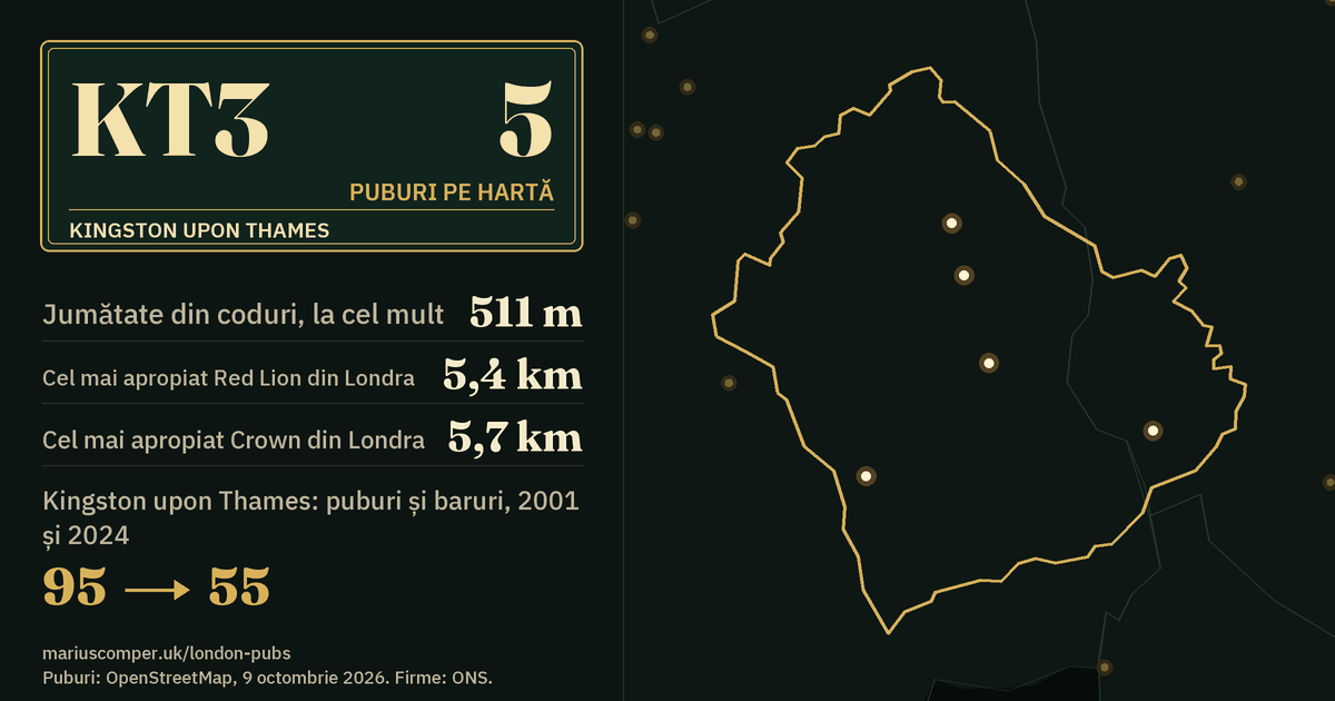 5 puburi pe hartă. Cel mai apropiat Red Lion din Londra: la 5,4 km. Kingston upon Thames: 95 de puburi și baruri în 2001, 55 în 2024.