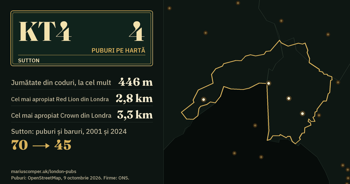 4 puburi pe hartă. Cel mai apropiat Red Lion din Londra: la 2,8 km. Sutton: 70 de puburi și baruri în 2001, 45 în 2024.
