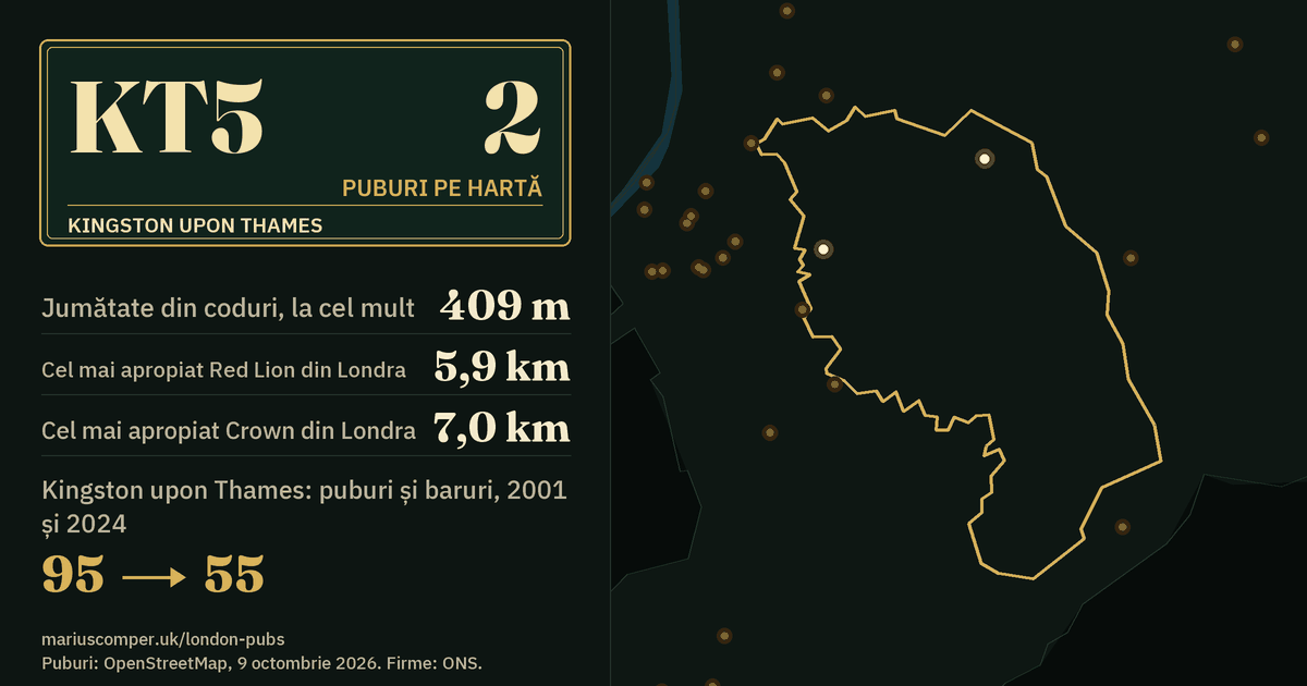 2 puburi pe hartă. Cel mai apropiat Red Lion din Londra: la 5,9 km. Kingston upon Thames: 95 de puburi și baruri în 2001, 55 în 2024.