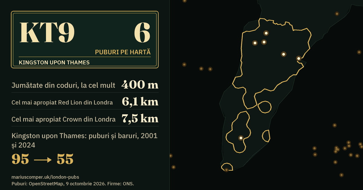 6 puburi pe hartă. Cel mai apropiat Red Lion din Londra: la 6,1 km. Kingston upon Thames: 95 de puburi și baruri în 2001, 55 în 2024.