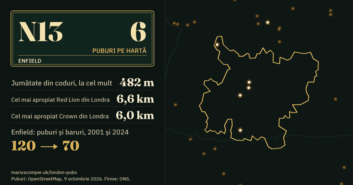6 puburi pe hartă. Cel mai apropiat Red Lion din Londra: la 6,6 km. Enfield: 120 de puburi și baruri în 2001, 70 în 2024.