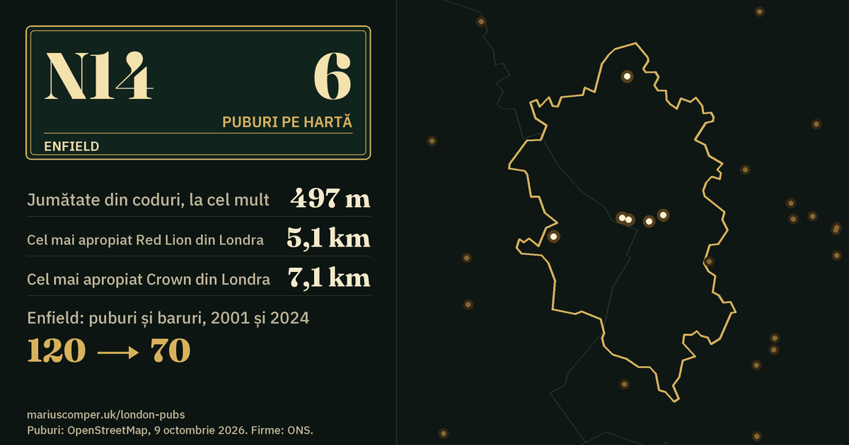 6 puburi pe hartă. Cel mai apropiat Red Lion din Londra: la 5,1 km. Enfield: 120 de puburi și baruri în 2001, 70 în 2024.