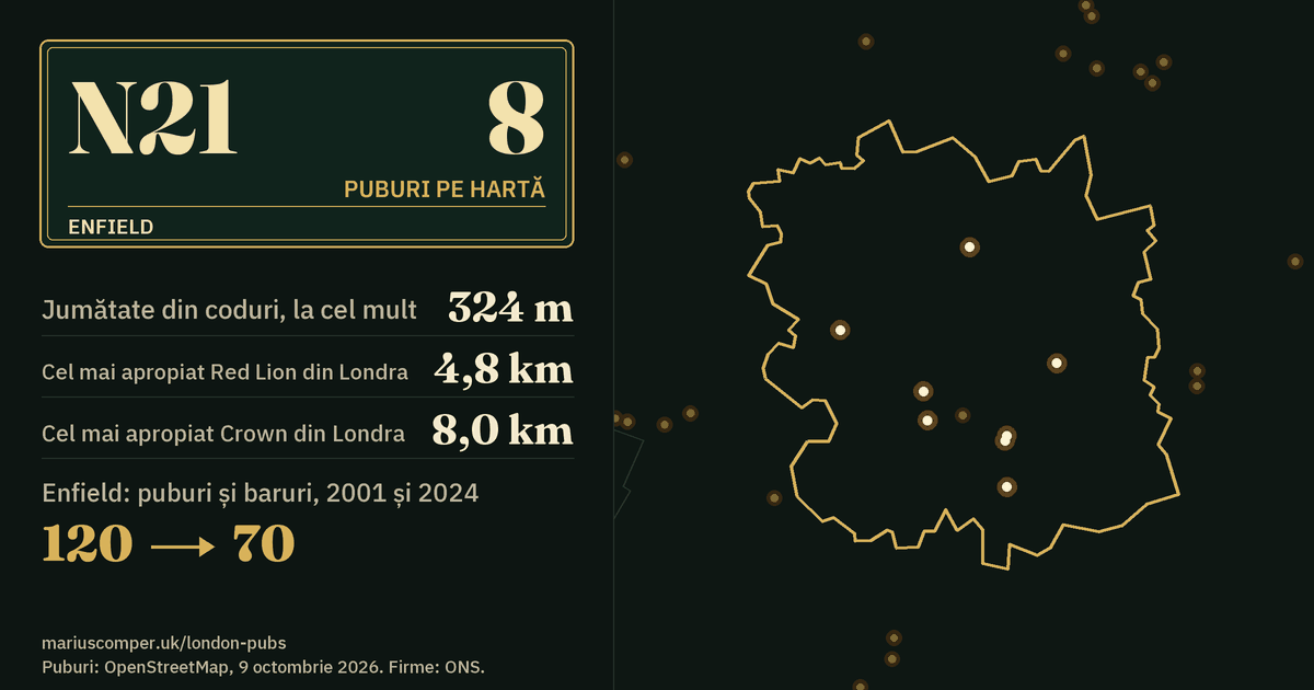 8 puburi pe hartă. Cel mai apropiat Red Lion din Londra: la 4,8 km. Enfield: 120 de puburi și baruri în 2001, 70 în 2024.