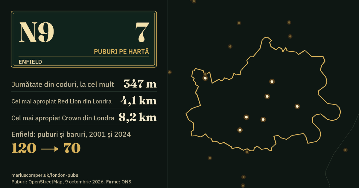 7 puburi pe hartă. Cel mai apropiat Red Lion din Londra: la 4,1 km. Enfield: 120 de puburi și baruri în 2001, 70 în 2024.