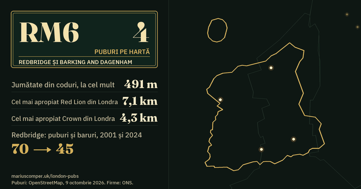4 puburi pe hartă. Cel mai apropiat Red Lion din Londra: la 7,1 km. Redbridge: 70 de puburi și baruri în 2001, 45 în 2024.
