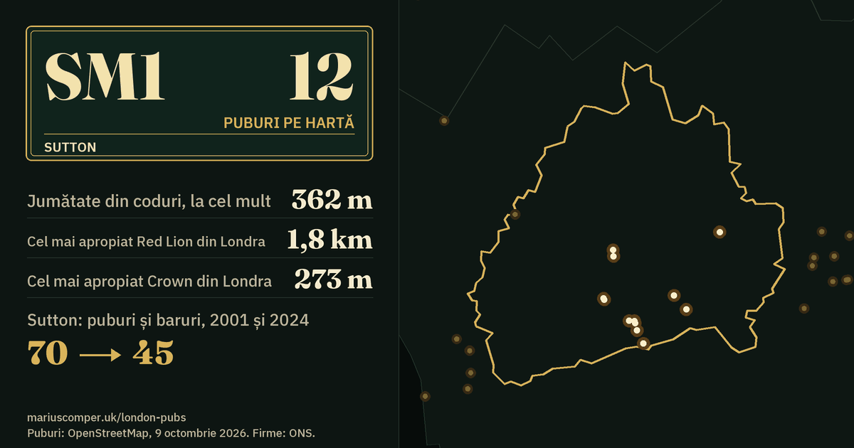 12 puburi pe hartă. Cel mai apropiat Red Lion din Londra: la 1,8 km. Sutton: 70 de puburi și baruri în 2001, 45 în 2024.