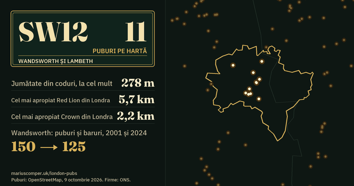 11 puburi pe hartă. Cel mai apropiat Red Lion din Londra: la 5,7 km. Wandsworth: 150 de puburi și baruri în 2001, 125 în 2024.