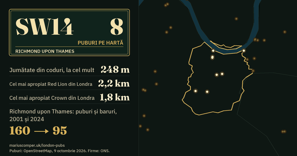 8 puburi pe hartă. Cel mai apropiat Red Lion din Londra: la 2,2 km. Richmond upon Thames: 160 de puburi și baruri în 2001, 95 în 2024.