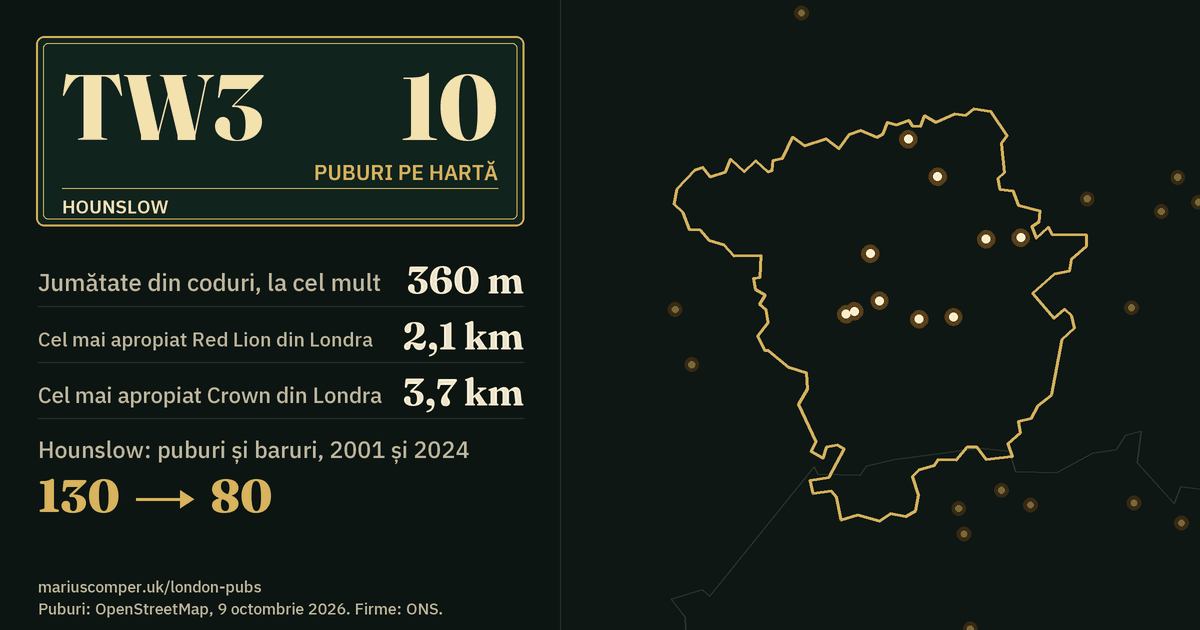 10 puburi pe hartă. Cel mai apropiat Red Lion din Londra: la 2,1 km. Hounslow: 130 de puburi și baruri în 2001, 80 în 2024.