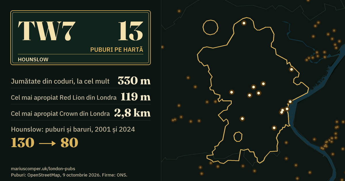 13 puburi pe hartă. Cel mai apropiat Red Lion din Londra: la 119 m. Hounslow: 130 de puburi și baruri în 2001, 80 în 2024.