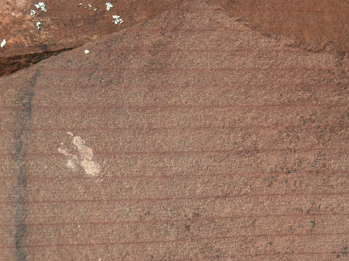 A reddish sandstone surface with very fine horizontal lines, layer upon layer