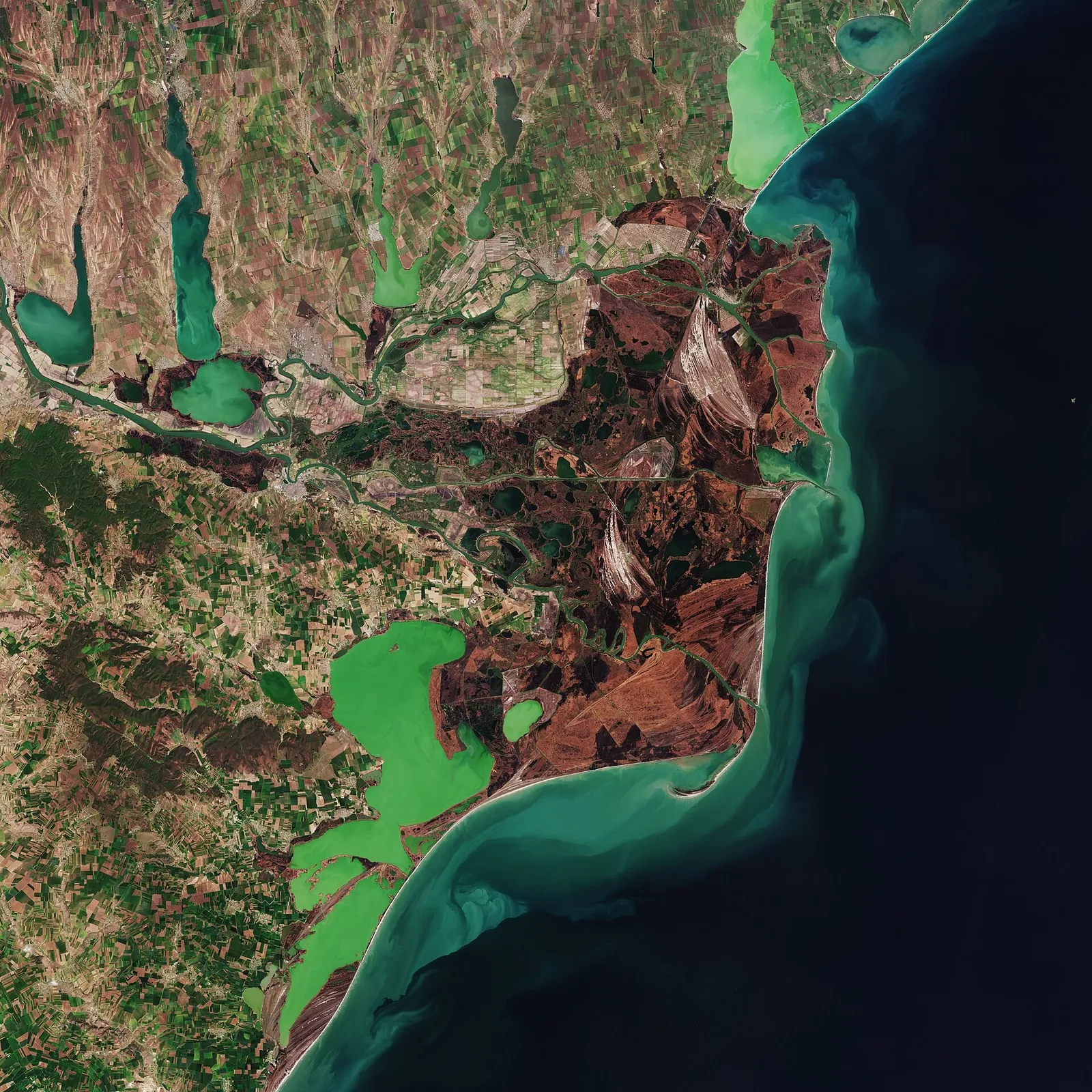 Imagine satelitară: delta verde-brună cu brațe șerpuite spre mare.
