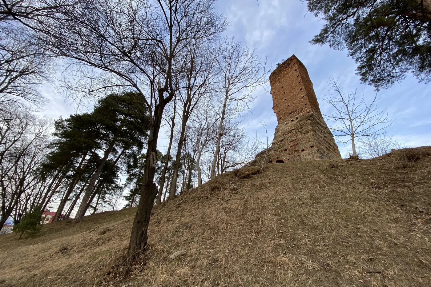 The ruined Sân Nicoară tower above the town of Curtea de Argeș.