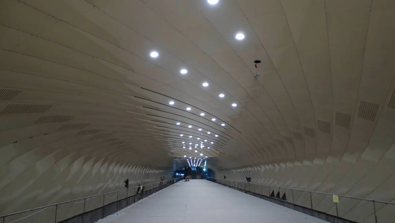 Vaulted platform hall at Valea Ialomiței