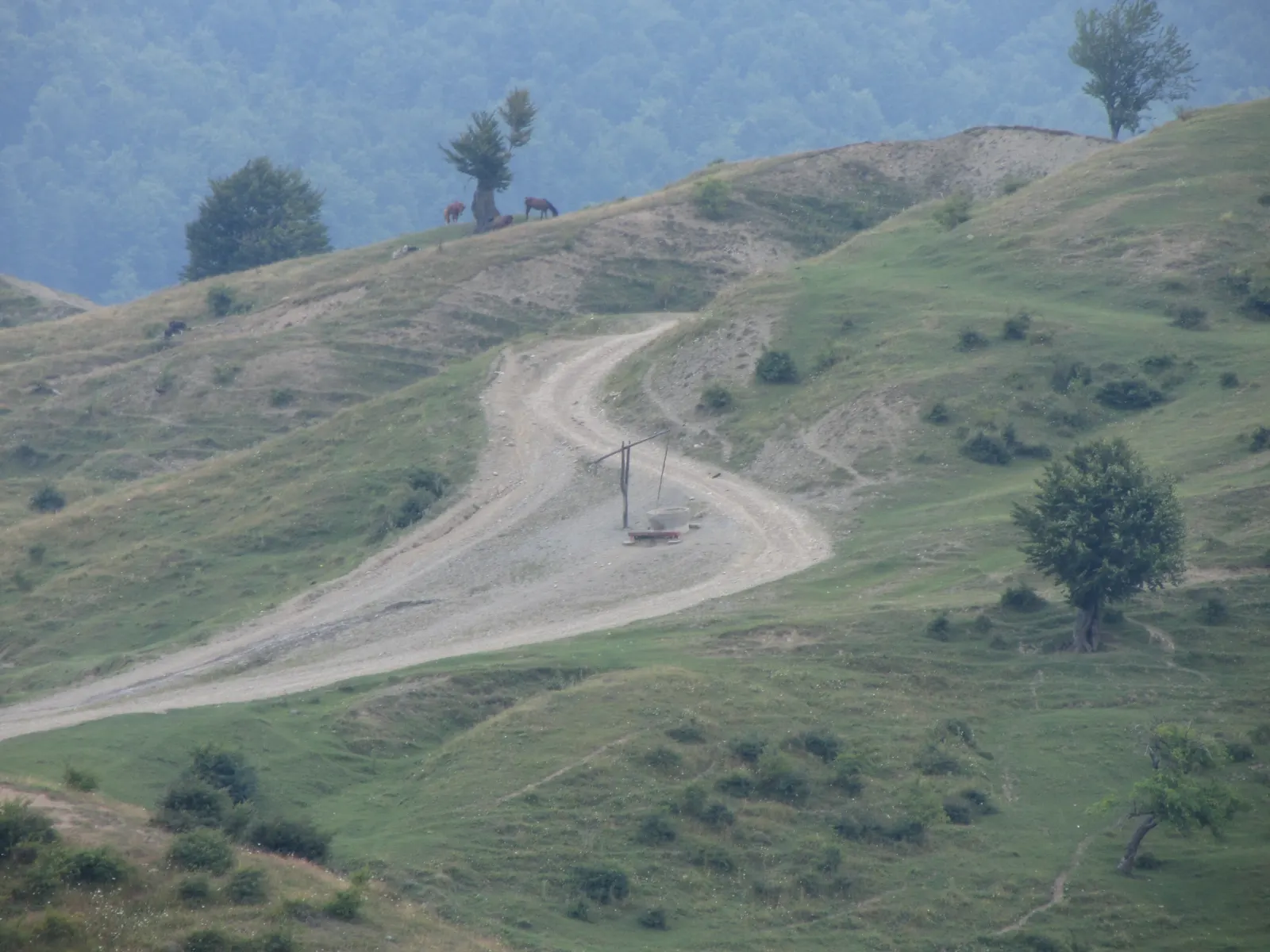 A well with a wooden sweep beside a dirt road winding up a hillside, with cattle on the ridge behind