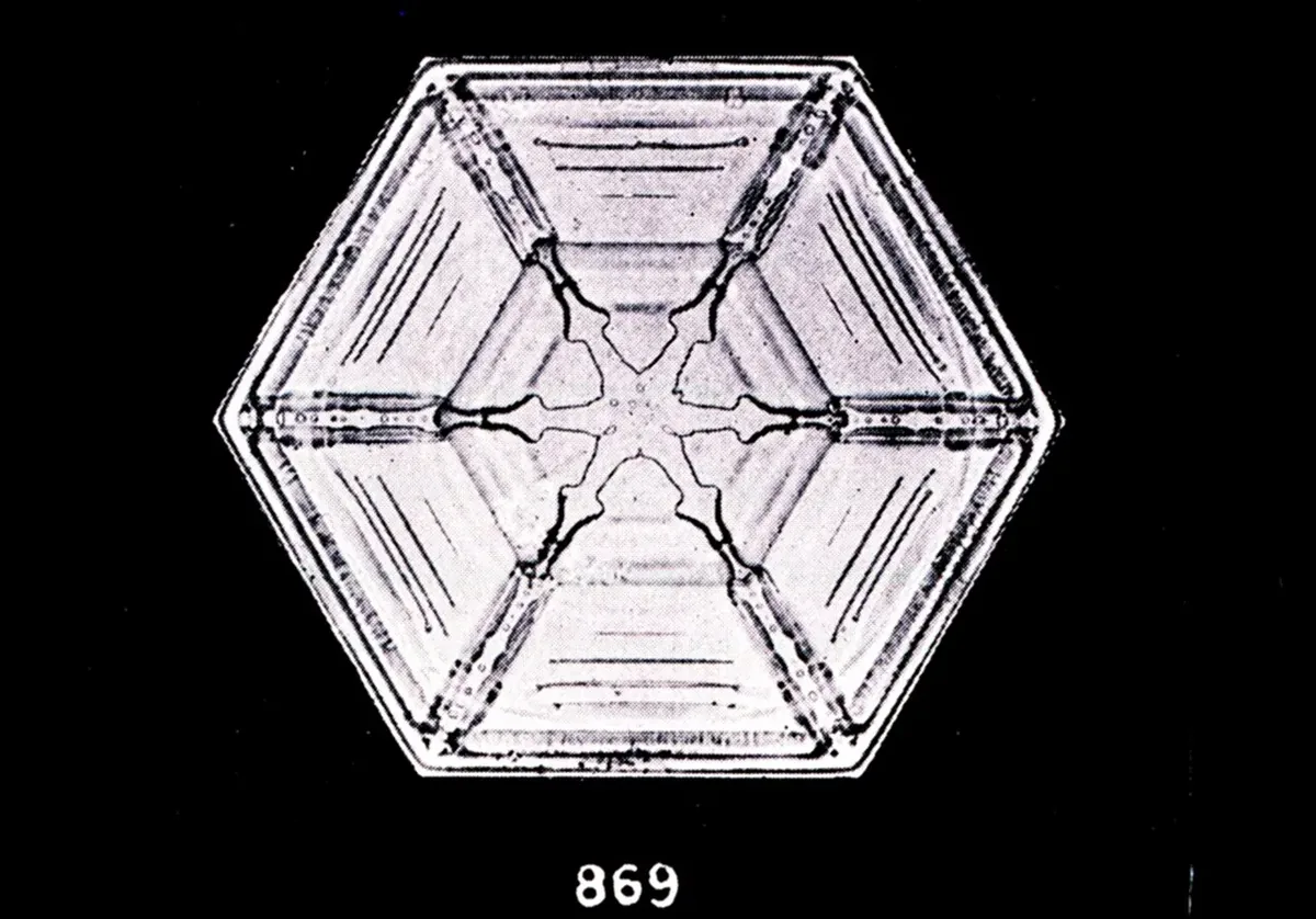 Un fulg ca o placă hexagonală, cu o stea în mijloc, fotografiat pe fond negru. Dedesubt, numărul 869.