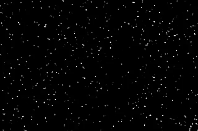 A frame of the footage: hundreds of one-micron beads, bright dots on black, in water under a microscope.