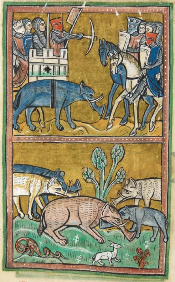Medieval illustration of elephants from a 13th-century English bestiary manuscript.