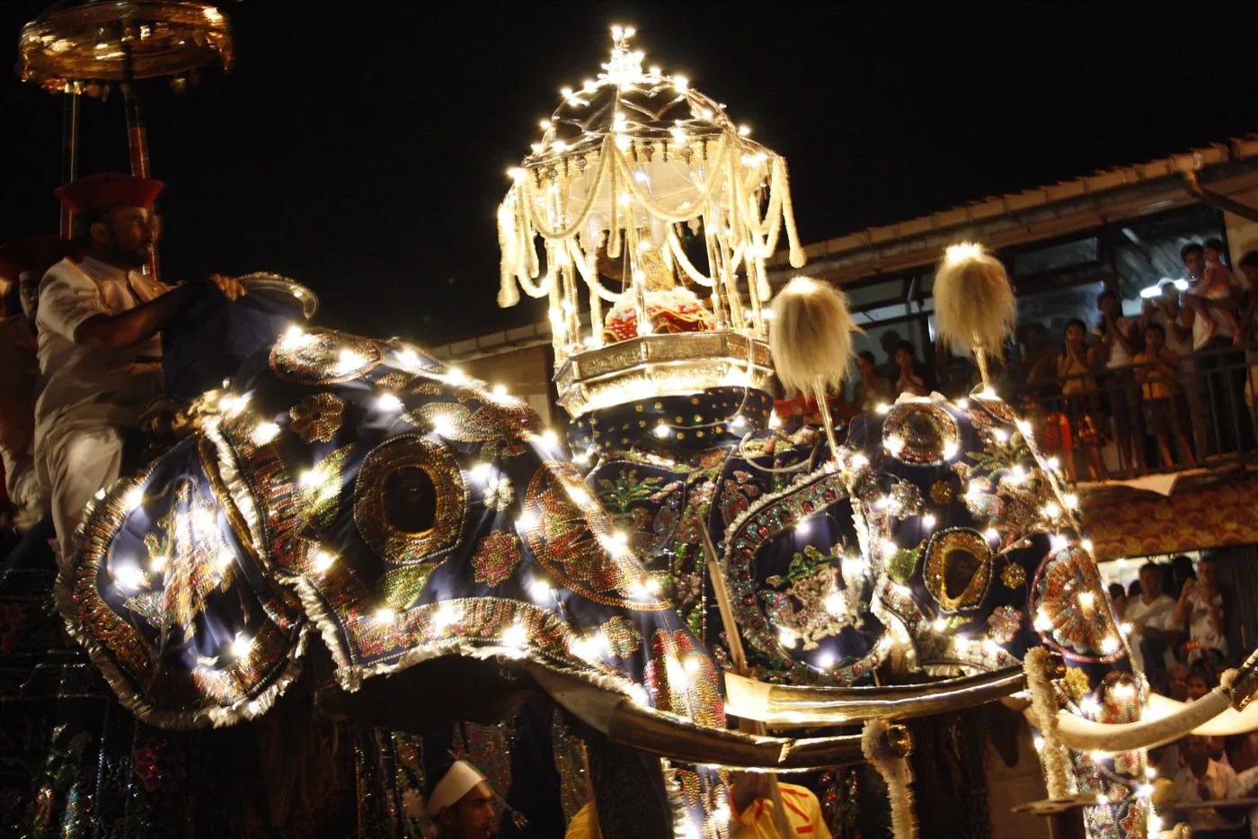 Caparisoned elephants parading at night during the Esala Perahera procession in Kandy, Sri Lanka.